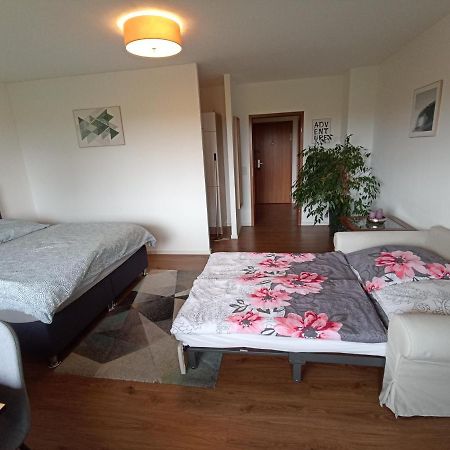 Exklusives Apartment Zw. Lu Und Speyer Mit Aufzug Neuhofen Екстер'єр фото