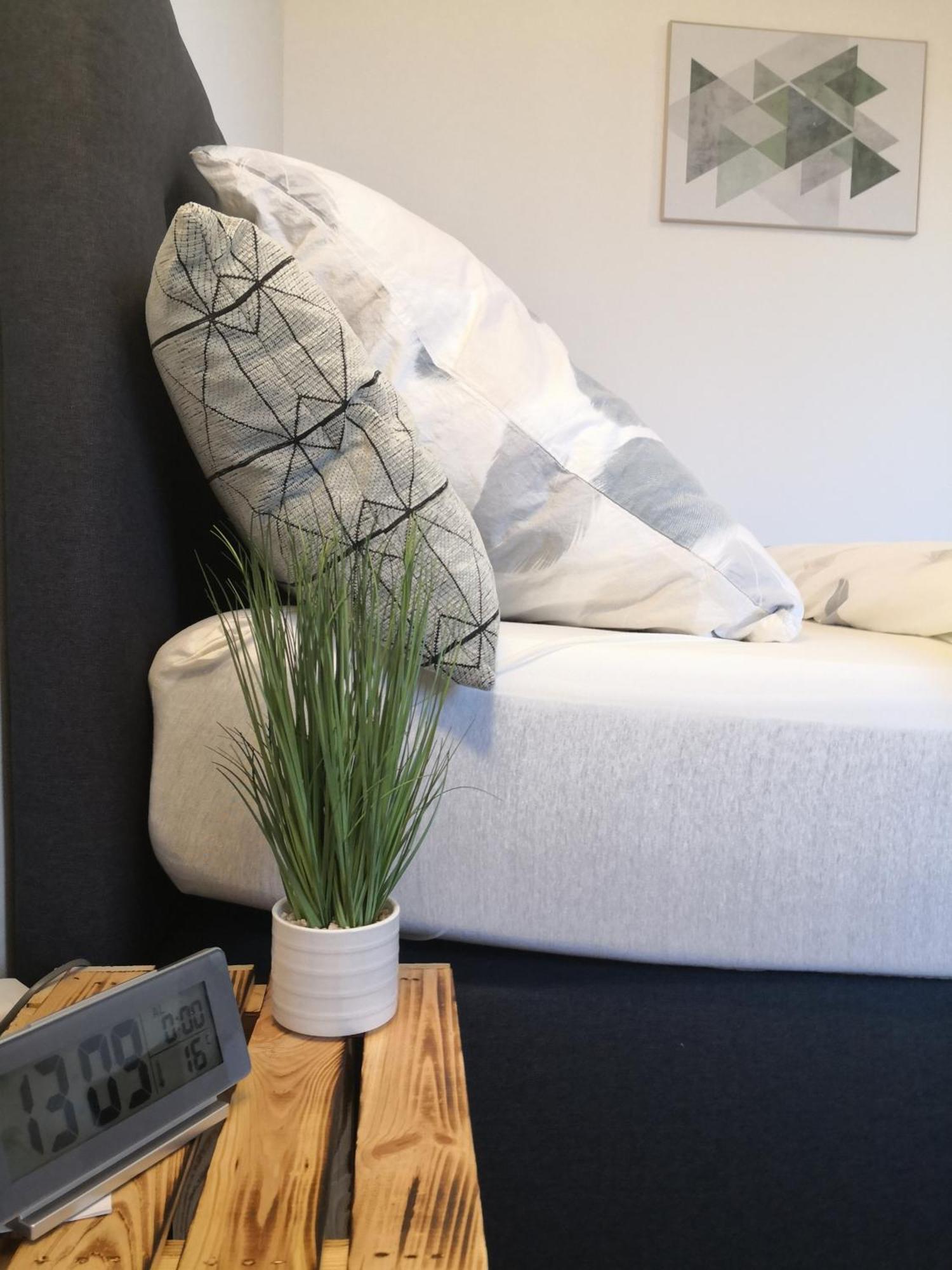 Exklusives Apartment Zw. Lu Und Speyer Mit Aufzug Neuhofen Екстер'єр фото